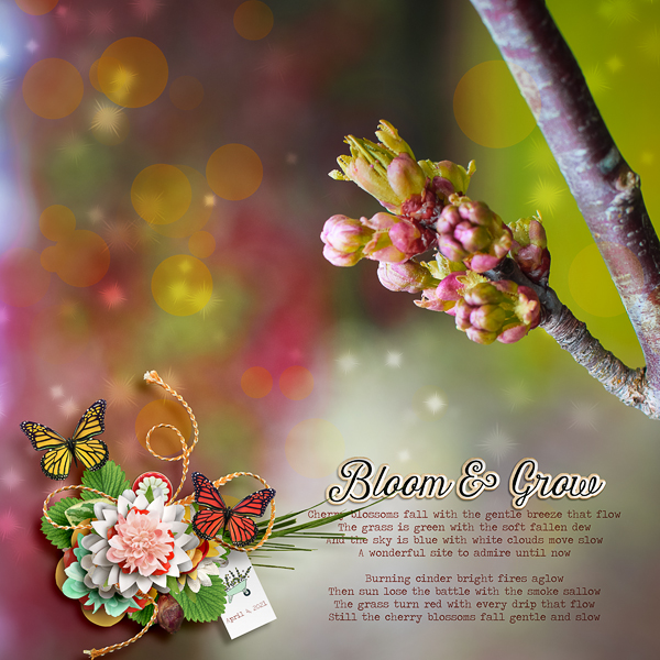 Bloom & Grow