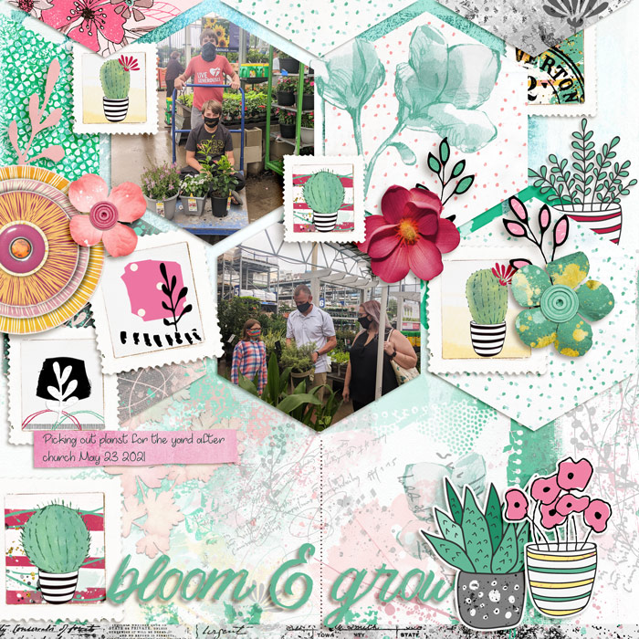 Bloom & Grow