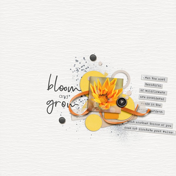 Bloom & Grow