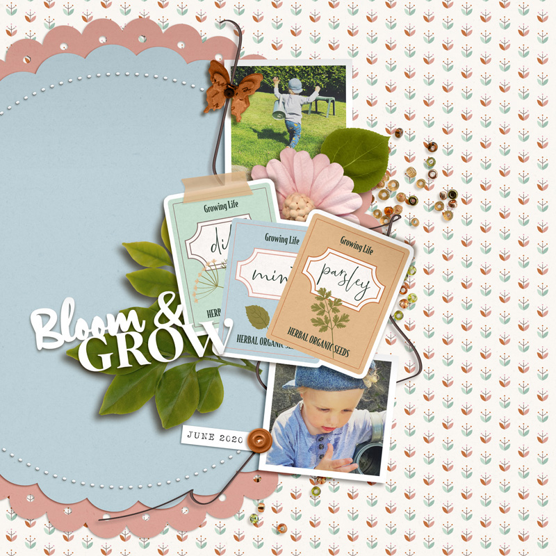 Bloom & Grow