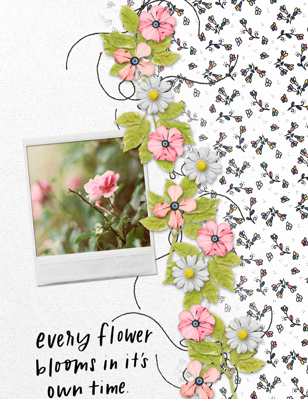 Bloom & Grow