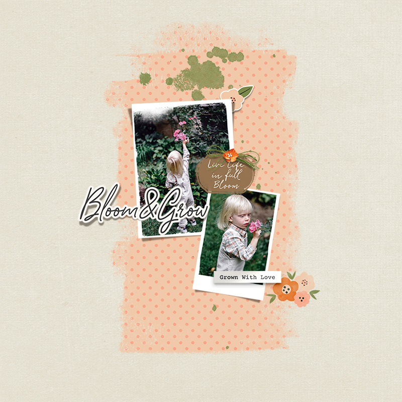 bloom & grow