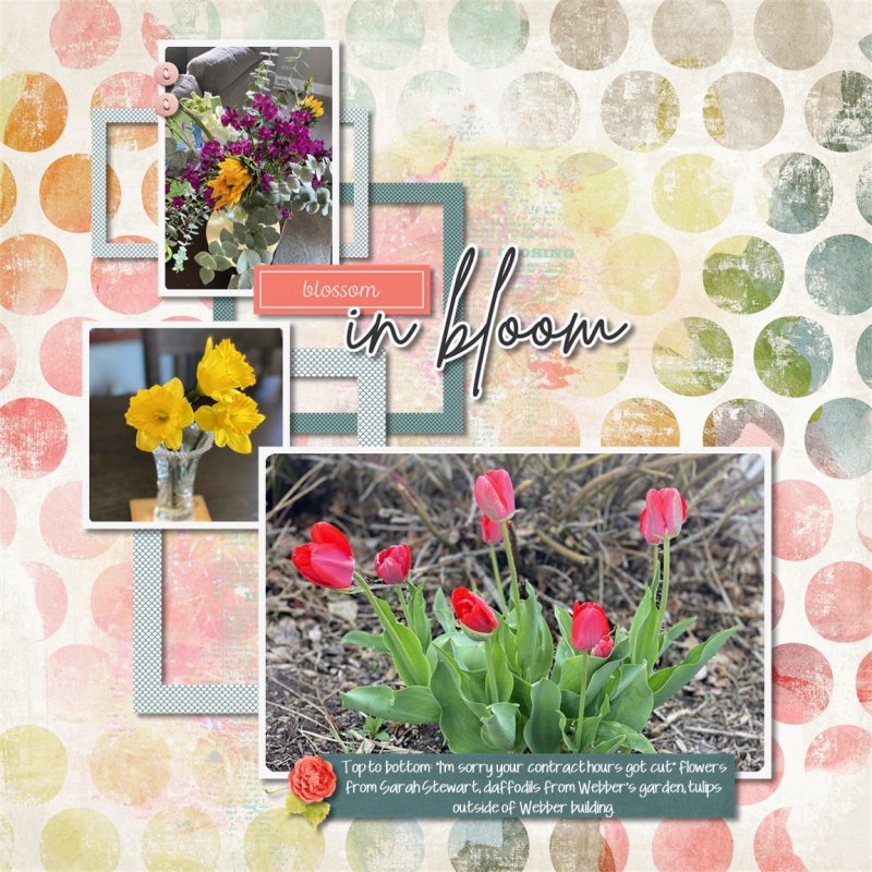 Bloom Spring Flowers