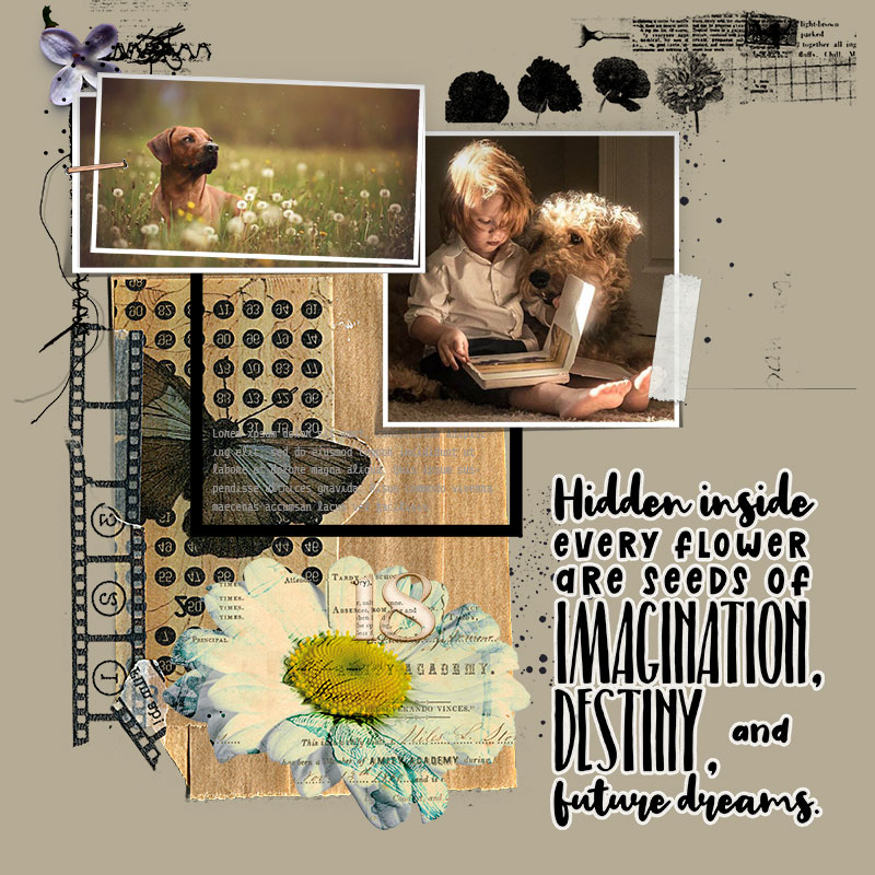 Bloom-Template-18-