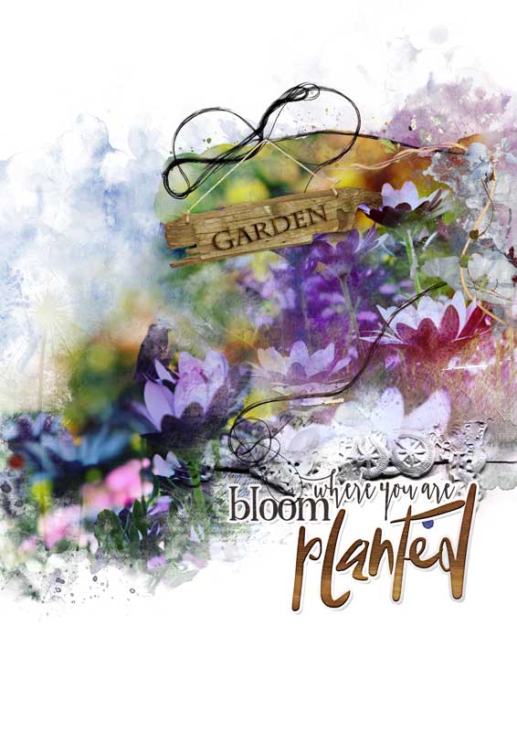 Bloom where you are planted