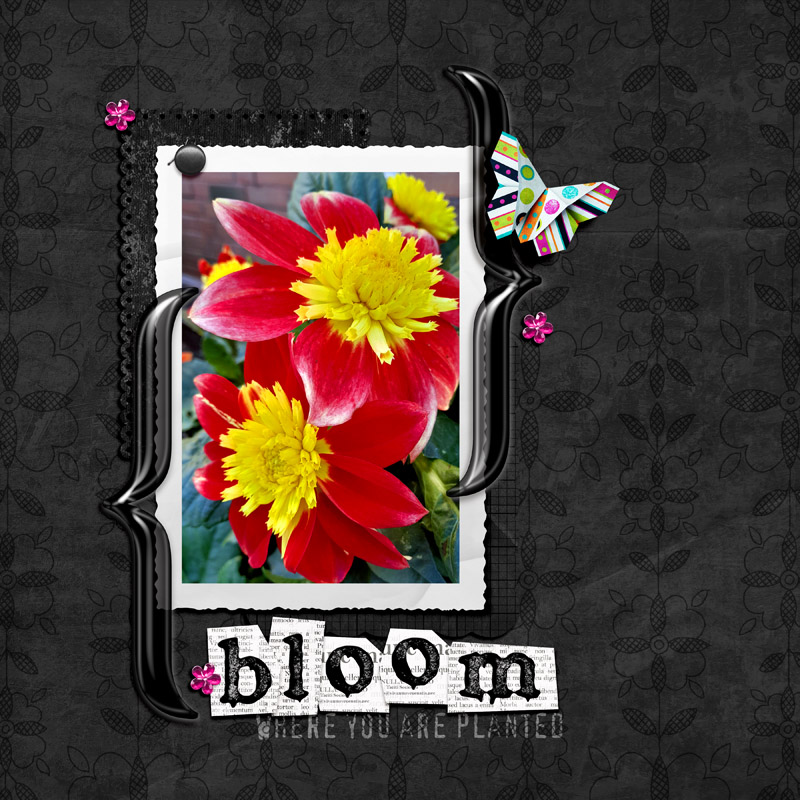 Bloom Where You Are Planted