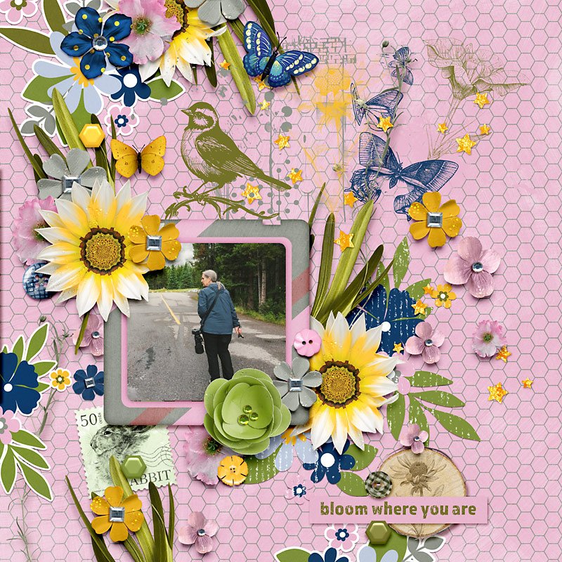 Bloom Where You Are