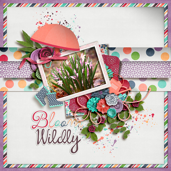 Bloom Wildly