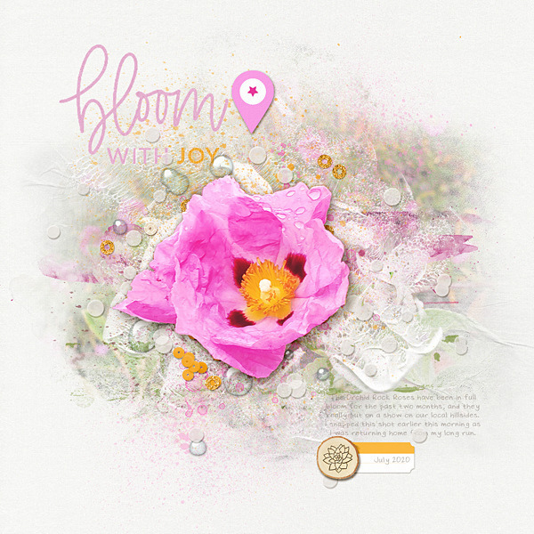Bloom with Joy