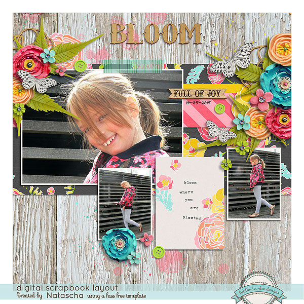 Bloom
