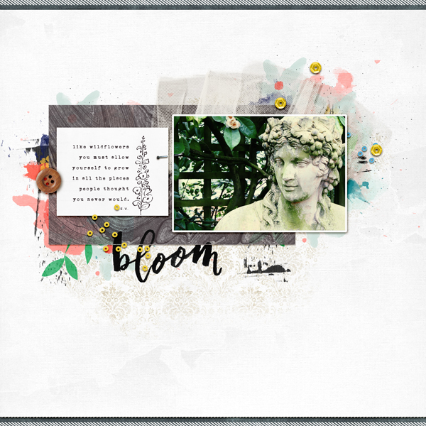 Bloom