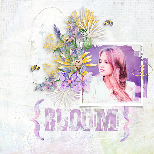 Bloom