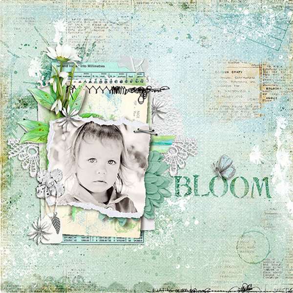 Bloom