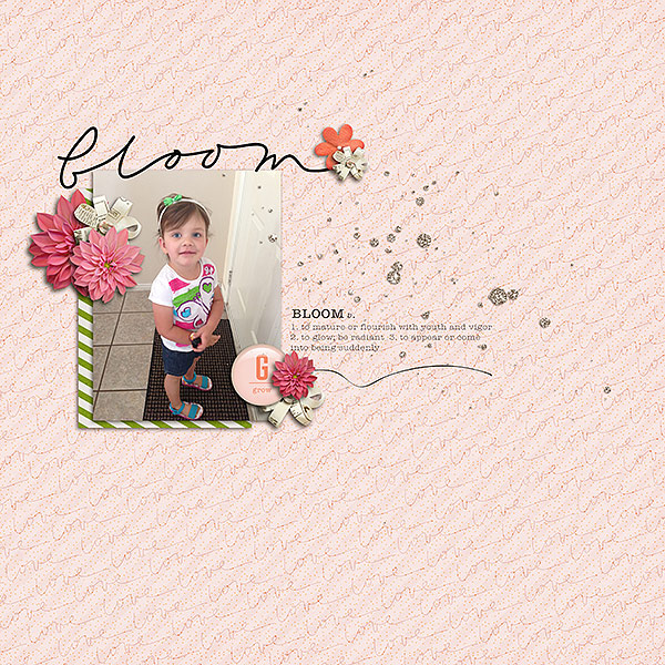 Bloom