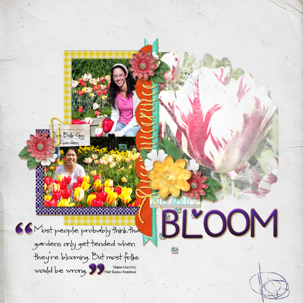 Bloom