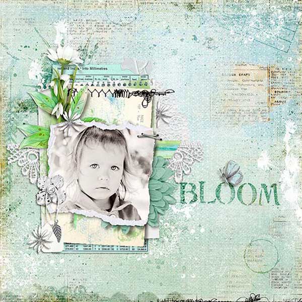 Bloom