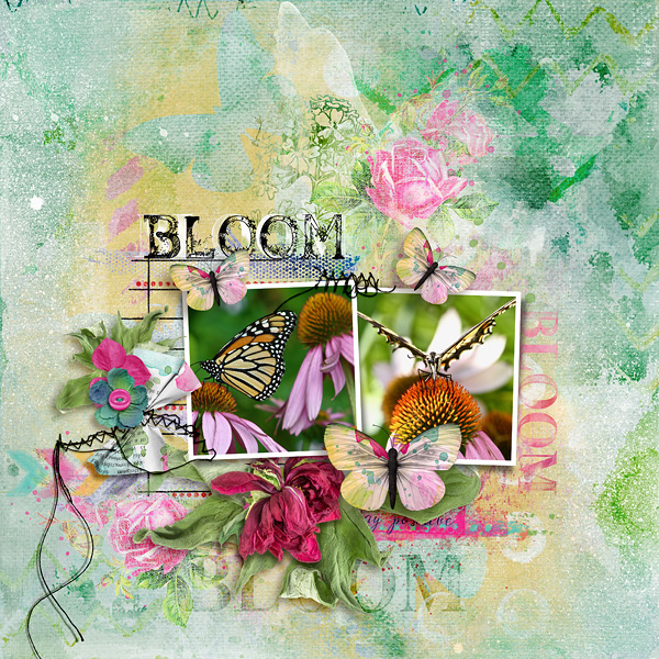 Bloom