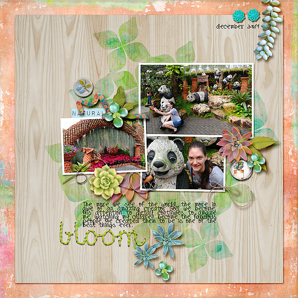 Bloom