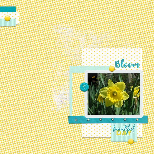 Bloom