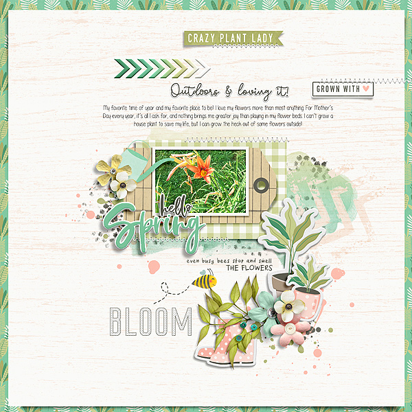 Bloom