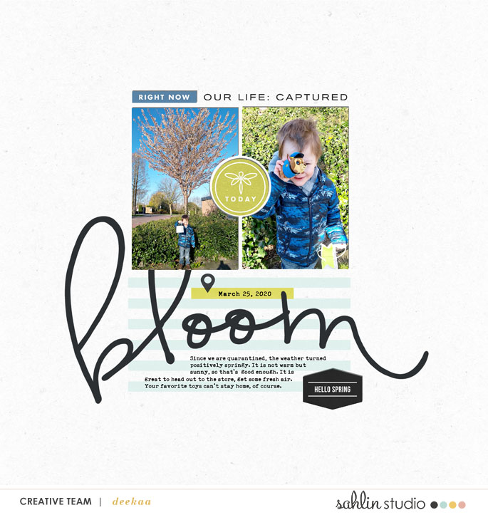 Bloom