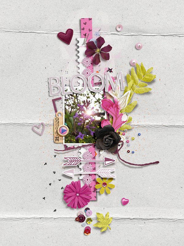 Bloom