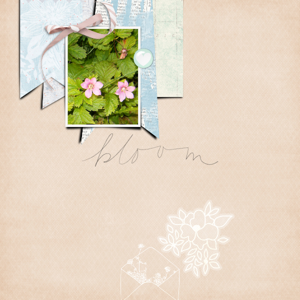 Bloom