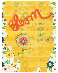 Bloom!