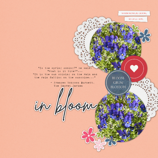 Bloom