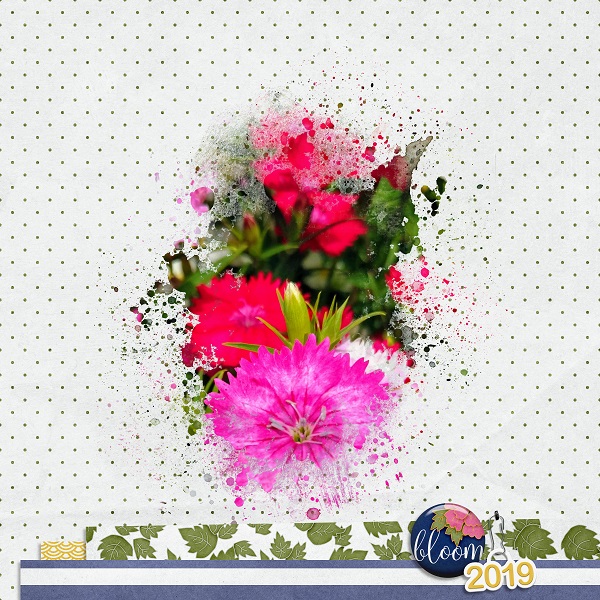 Bloom