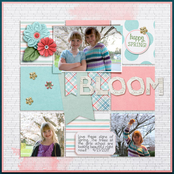 Bloom