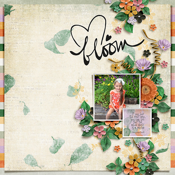 Bloom