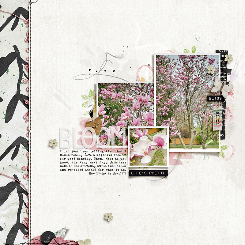Bloom