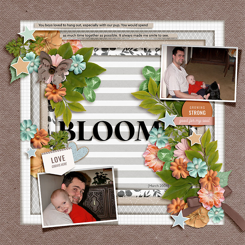 Bloom