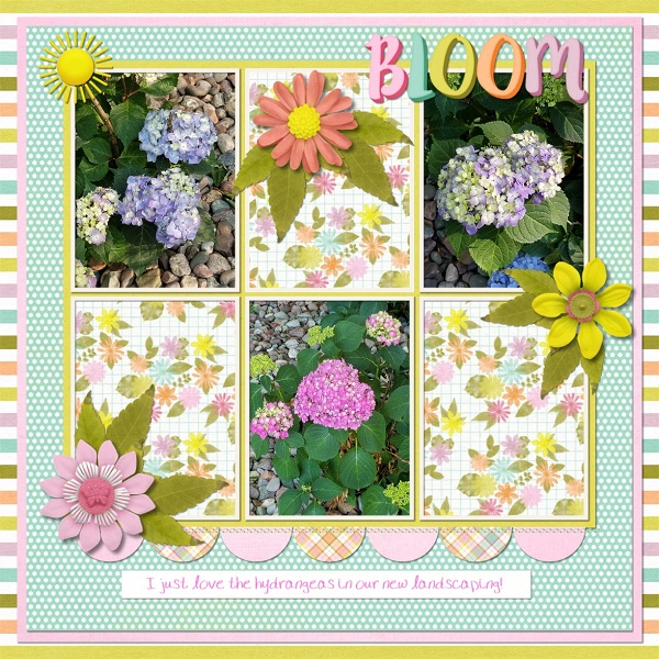 Bloom