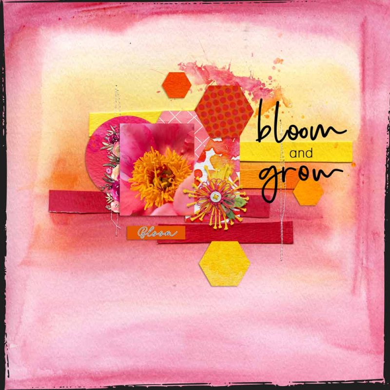 Bloom