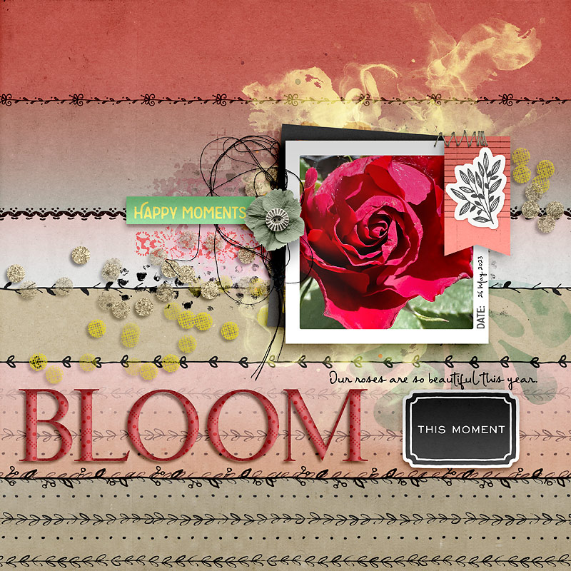 Bloom