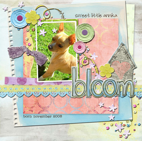 Bloom