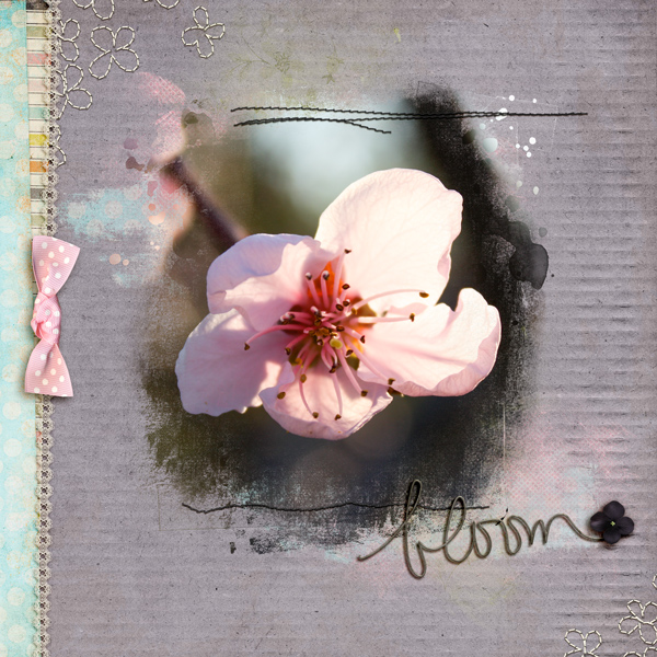 Bloom
