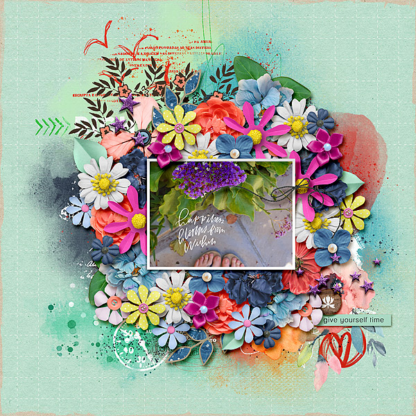 BloomAndGrow