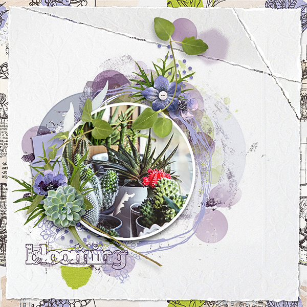 Blooming | NBK Design October Challenge
