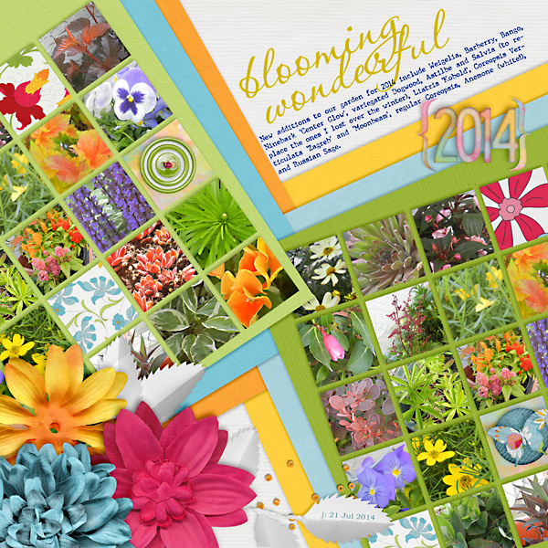 Blooming Wonderful