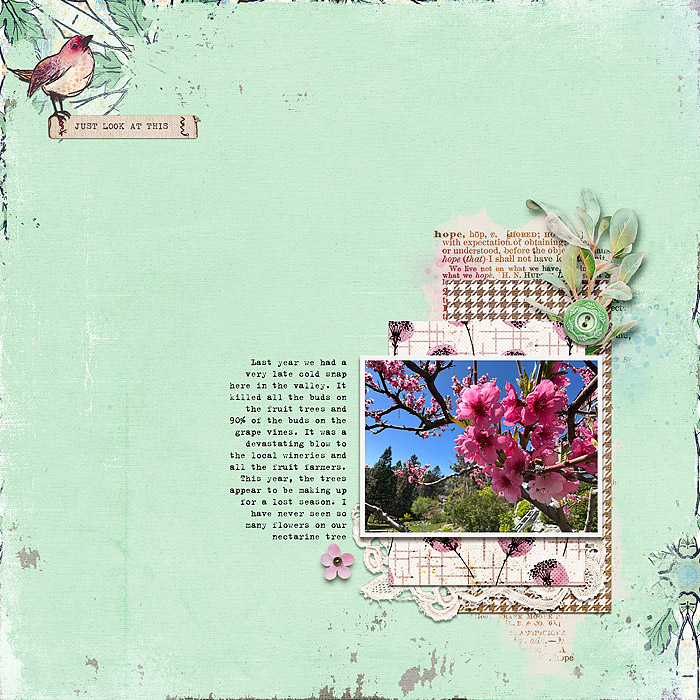 Blooming