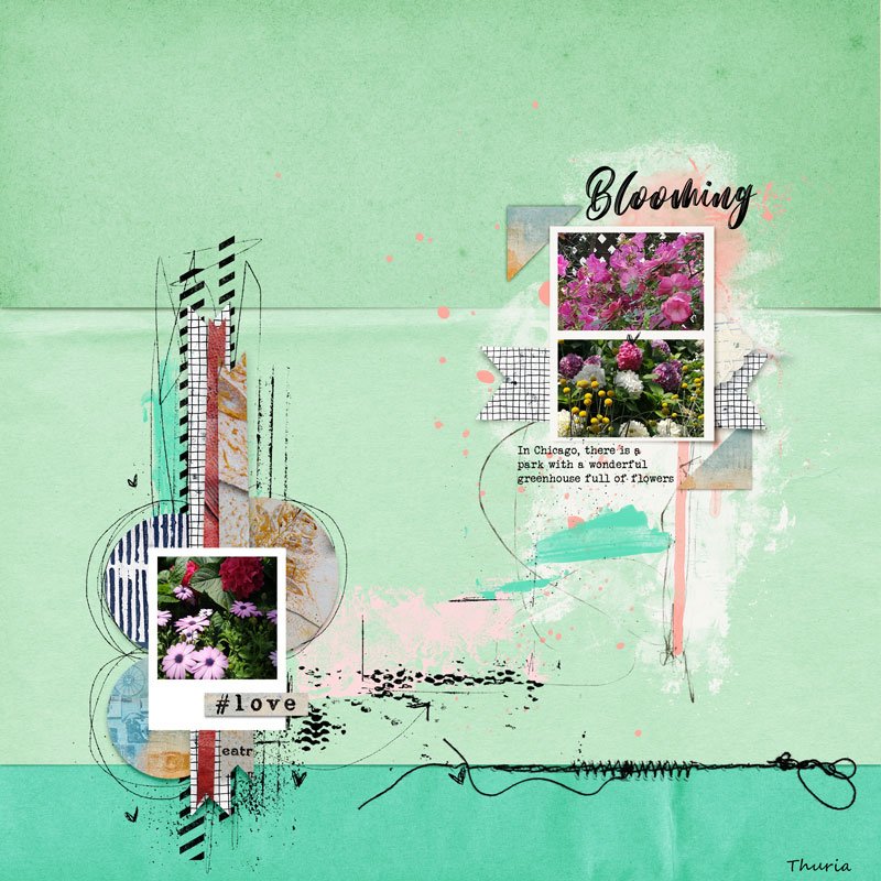 Blooming