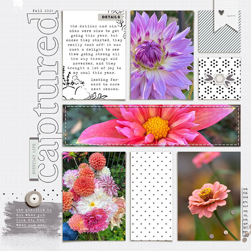 blooms captured | black friday '24