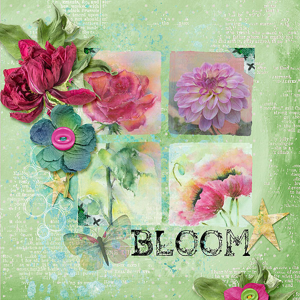 Blooms