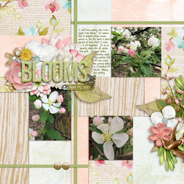 Blooms
