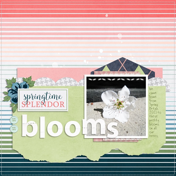 Blooms