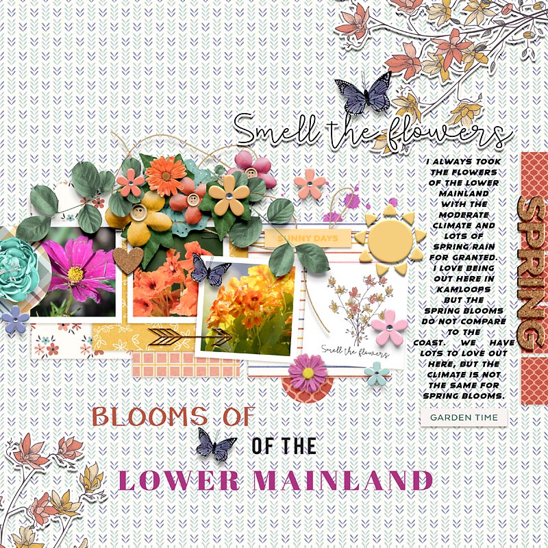 Blooms