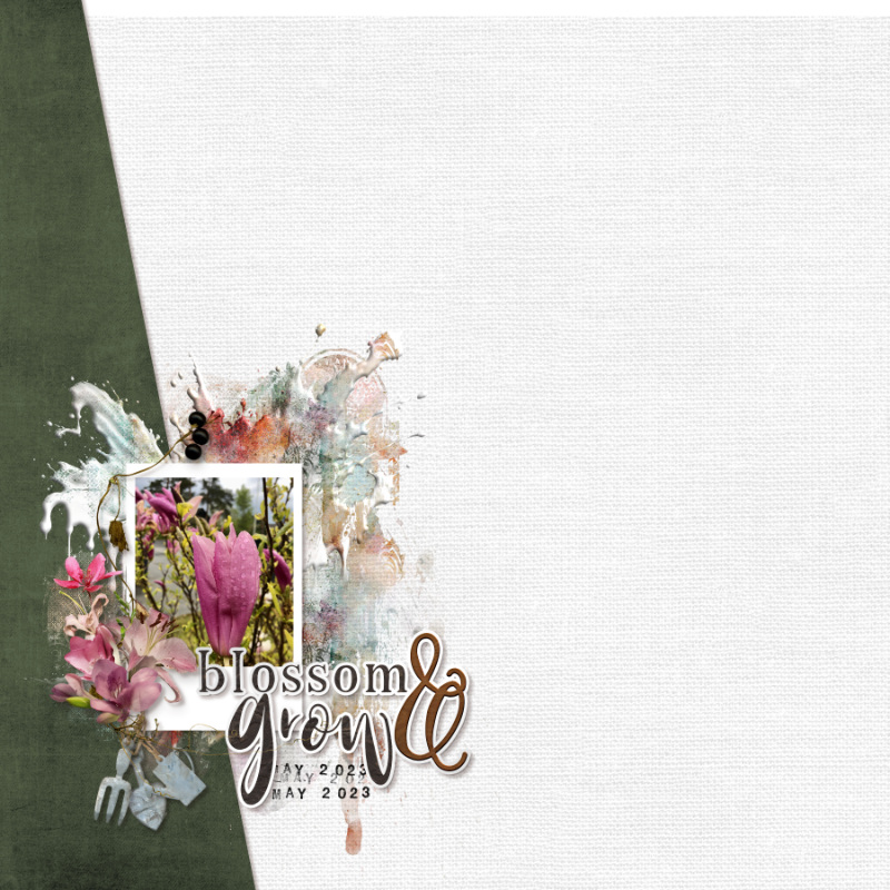 Blossom & Grow